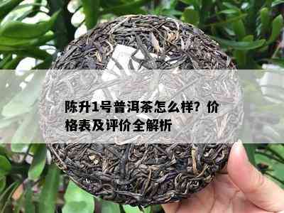 陈升1号普洱茶怎么样？价格表及评价全解析