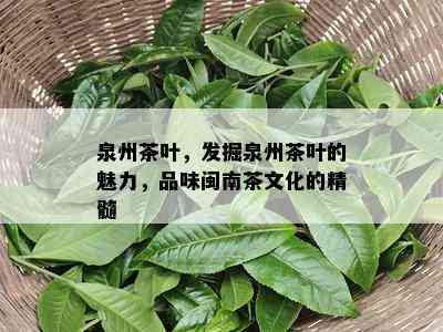 泉州茶叶，发掘泉州茶叶的魅力，品味闽南茶文化的精髓