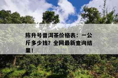 陈升号普洱茶价格表：一公斤多少钱？全网最新查询结果！