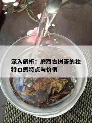 深入解析：磨烈古树茶的特别口感特点与价值