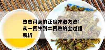 熟普洱茶的正确冲泡方法：从一回生到二回熟的全过程解析