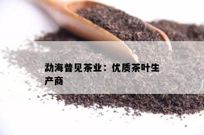 勐海普见茶业：优质茶叶生产商