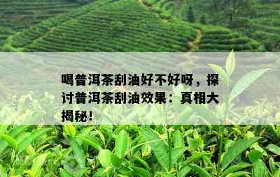 喝普洱茶刮油好不好呀，探讨普洱茶刮油效果：真相大揭秘！