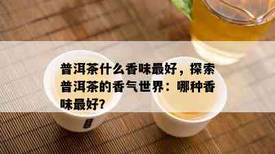 普洱茶什么香味更好，探索普洱茶的香气世界：哪种香味更好？