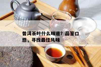 普洱茶叶什么味道？品鉴口感，寻找更佳风味