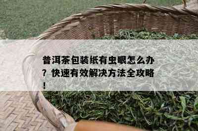 普洱茶包装纸有虫眼怎么办？快速有效解决方法全攻略！