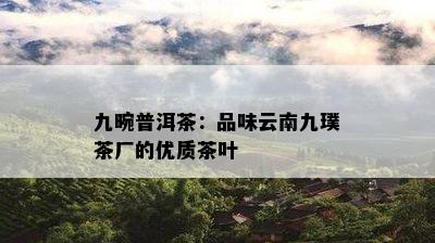 九畹普洱茶：品味云南九璞茶厂的优质茶叶