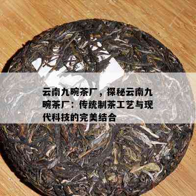 云南九畹茶厂，探秘云南九畹茶厂：传统制茶工艺与现代科技的完美结合