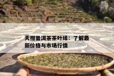 天柑普洱茶茶叶缘：了解最新价格与市场行情