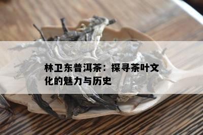 林卫东普洱茶：探寻茶叶文化的魅力与历史