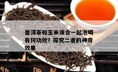 普洱茶和玉米须合一起泡喝有何功效？探究二者的神奇效果