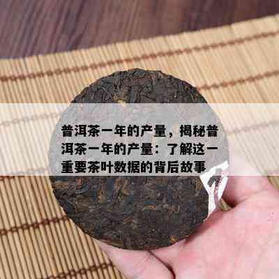 普洱茶一年的产量，揭秘普洱茶一年的产量：了解这一重要茶叶数据的背后故事