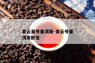 青云昌号普洱茶-青云号普洱茶野生