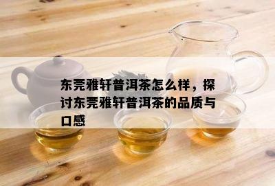 东莞雅轩普洱茶怎么样，探讨东莞雅轩普洱茶的品质与口感