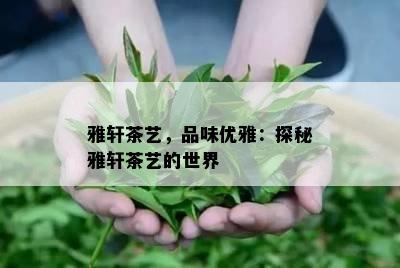 雅轩茶艺，品味优雅：探秘雅轩茶艺的世界