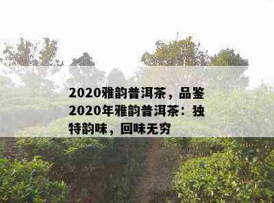 2020雅韵普洱茶，品鉴2020年雅韵普洱茶：特别韵味，回味无穷