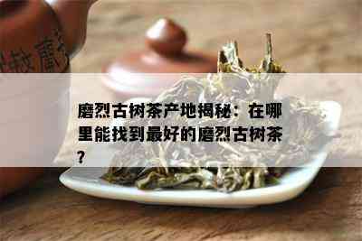 磨烈古树茶产地揭秘：在哪里能找到更好的磨烈古树茶？