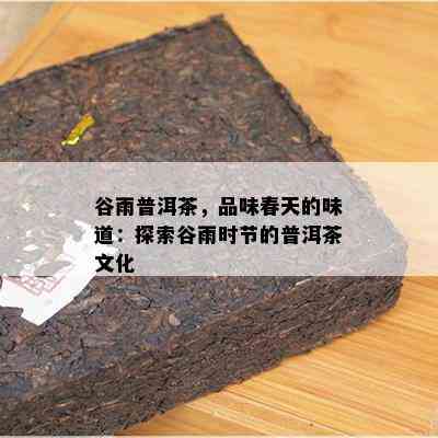 谷雨普洱茶，品味春天的味道：探索谷雨时节的普洱茶文化