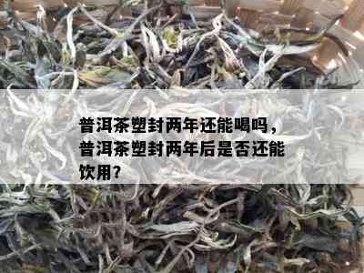 普洱茶塑封两年还能喝吗，普洱茶塑封两年后是不是还能饮用？