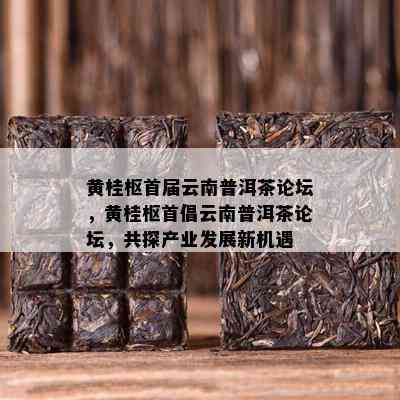 黄桂枢首届云南普洱茶论坛，黄桂枢首倡云南普洱茶论坛，共探产业发展新机遇