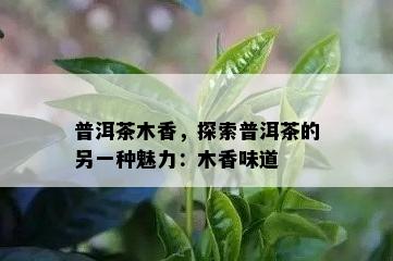 普洱茶木香，探索普洱茶的另一种魅力：木香味道