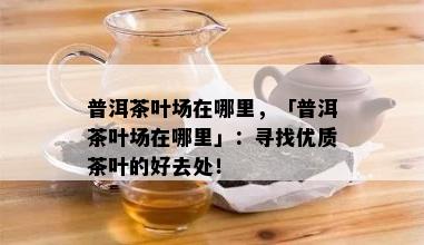 普洱茶叶场在哪里，「普洱茶叶场在哪里」：寻找优质茶叶的好去处！