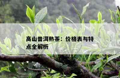 高山普洱熟茶：价格表与特点全解析