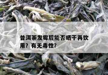 普洱茶发霉后能否晒干再饮用？有无性？