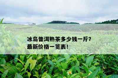 冰岛普洱熟茶多少钱一斤？最新价格一览表！