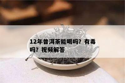 12年普洱茶能喝吗？有吗？视频解答