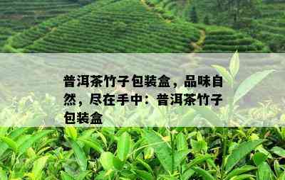 普洱茶竹子包装盒，品味自然，尽在手中：普洱茶竹子包装盒