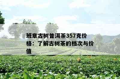 班章古树普洱茶357克价格：熟悉古树茶的档次与价值