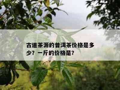 古道茶源的普洱茶价格是多少？一斤的价格是？