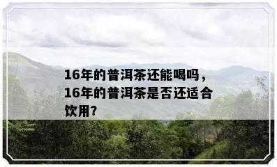 16年的普洱茶还能喝吗，16年的普洱茶是不是还适合饮用？