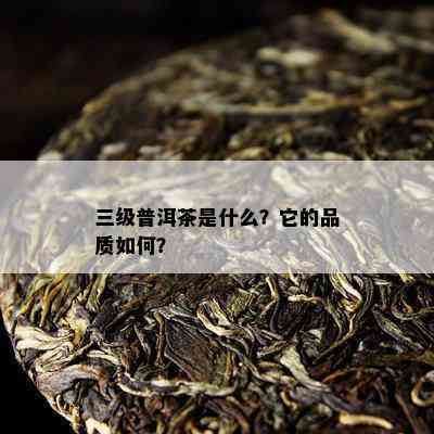 三级普洱茶是什么？它的品质怎样？