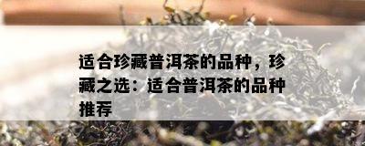 适合珍藏普洱茶的品种，珍藏之选：适合普洱茶的品种推荐