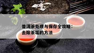 普洱茶解决与保存全攻略：去除茶垢的方法