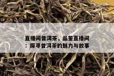 直播间普洱茶，品鉴直播间：探寻普洱茶的魅力与故事