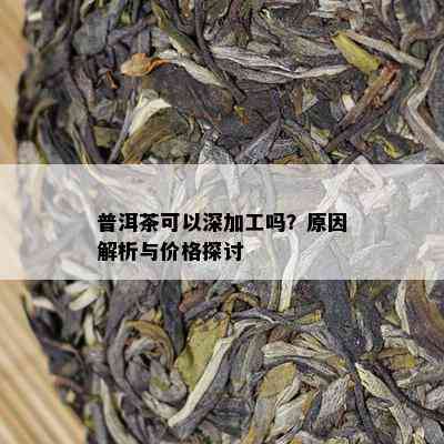 普洱茶可以深加工吗？原因解析与价格探讨