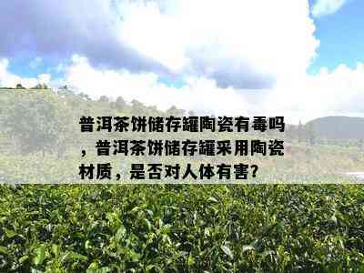 普洱茶饼储存罐陶瓷有吗，普洱茶饼储存罐采用陶瓷材质，是不是对人体有害？