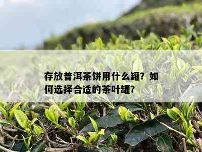 存放普洱茶饼用什么罐？怎样选择合适的茶叶罐？