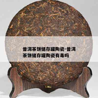 普洱茶饼储存罐陶瓷-普洱茶饼储存罐陶瓷有吗