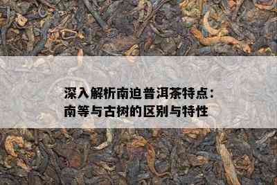 深入解析南迫普洱茶特点：南等与古树的区别与特性