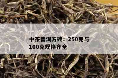 中茶普洱方砖：250克与100克规格齐全