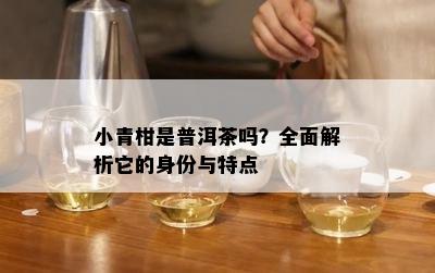 小青柑是普洱茶吗？全面解析它的身份与特点