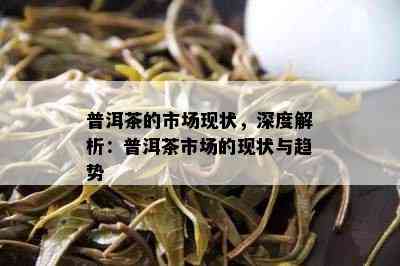 普洱茶的市场现状，深度解析：普洱茶市场的现状与趋势