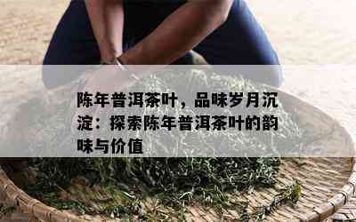 陈年普洱茶叶，品味岁月沉淀：探索陈年普洱茶叶的韵味与价值