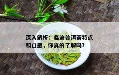 深入解析：临沧普洱茶特点和口感，你真的了解吗？