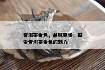 普洱茶金色，品味尊贵：探索普洱茶金色的魅力