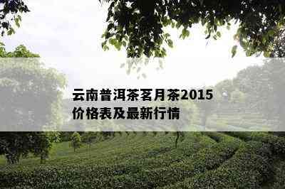 云南普洱茶茗月茶2015价格表及最新行情